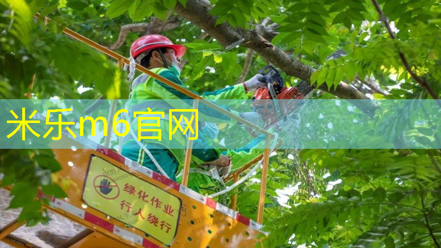 网球拍挂墙收纳方法图解