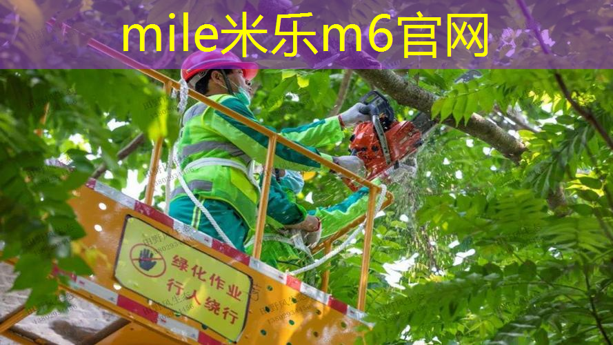 mile·米乐m6：六六健身操室内大基数跳绳