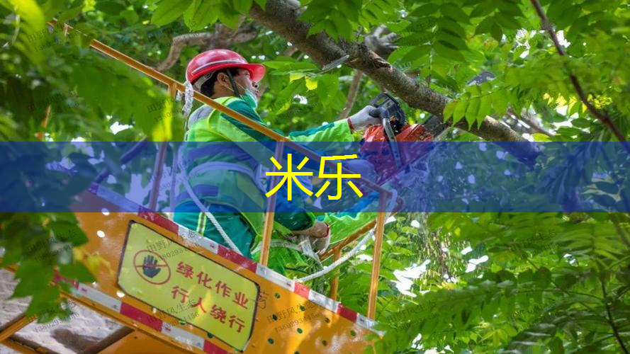 米乐m6官网登录入口：篮球器材规格