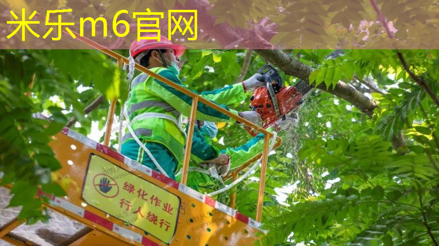 六六健身操室内大基数跳绳