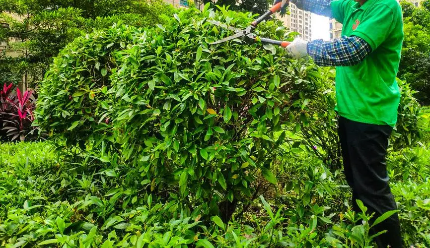 乒乓球台下接球算